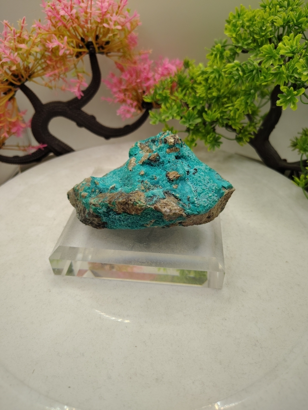 Vibrant Turquoise Mineral Specimen on Acrylic Stand